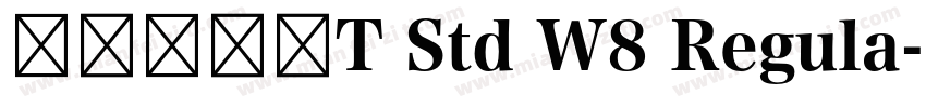 华康俪金黑T Std W8 Regula字体转换